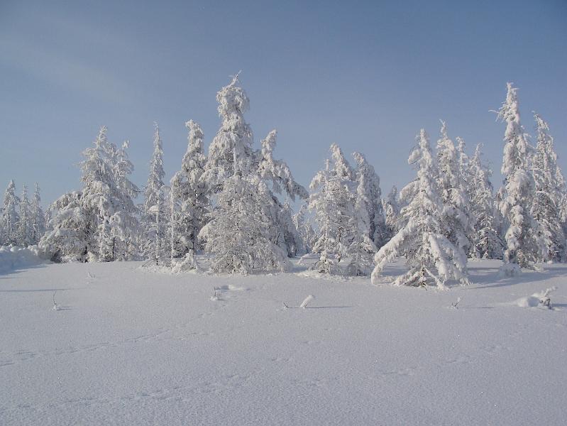 kolmya 14.3 012.jpg